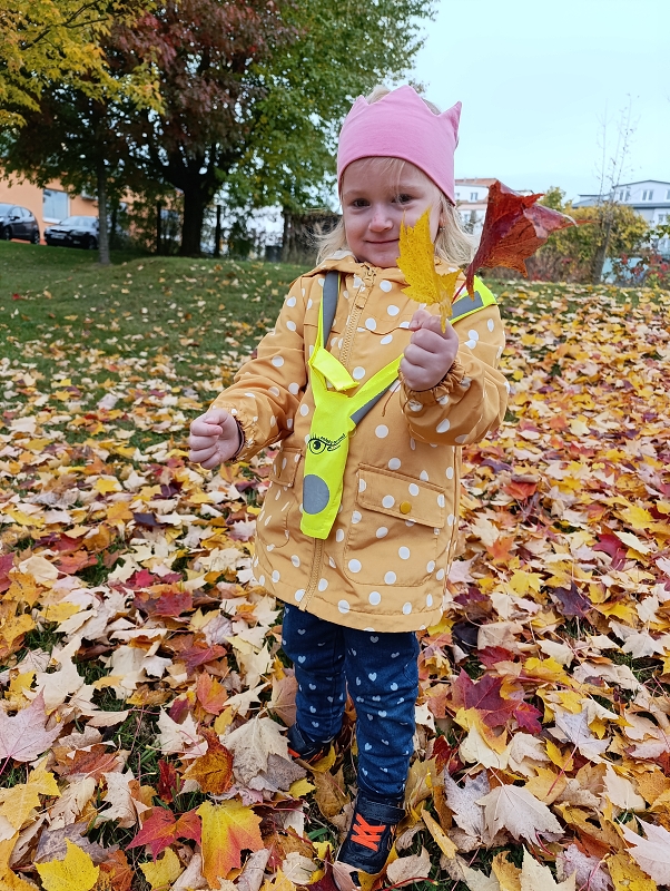 Zeleňásci - Skřítek podzimníček