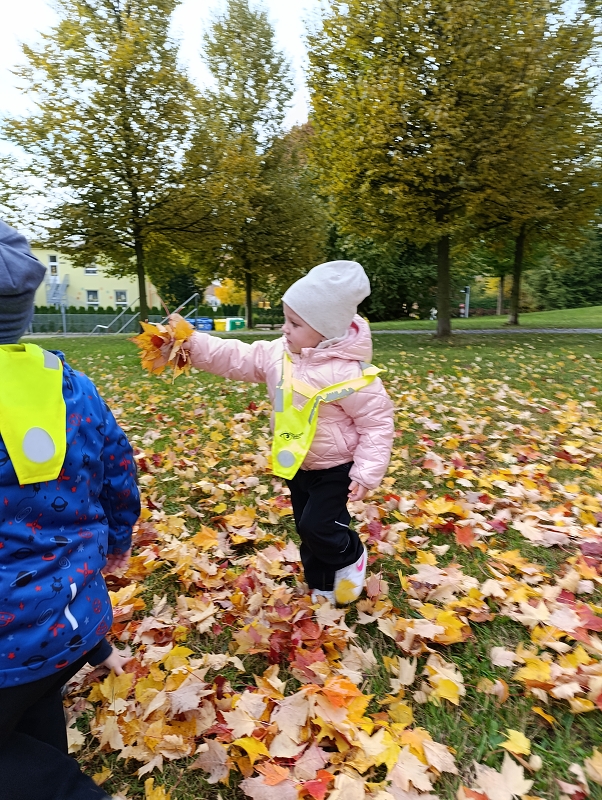 Zeleňásci - Skřítek podzimníček