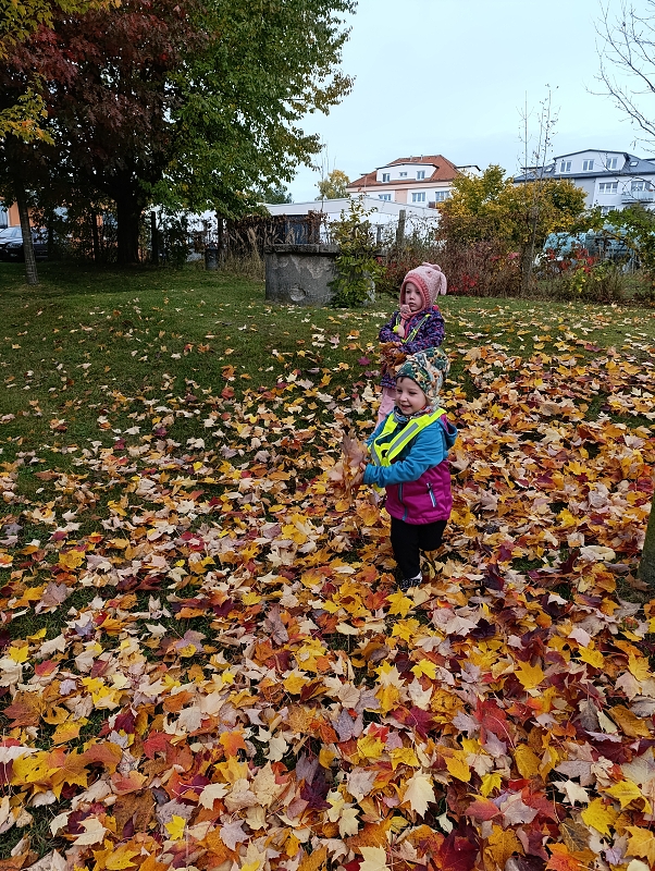 Zeleňásci - Skřítek podzimníček