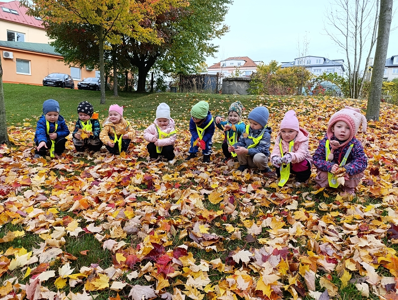 Zeleňásci - Skřítek podzimníček