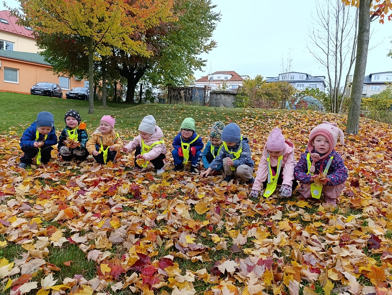 Zeleňásci - Skřítek podzimníček