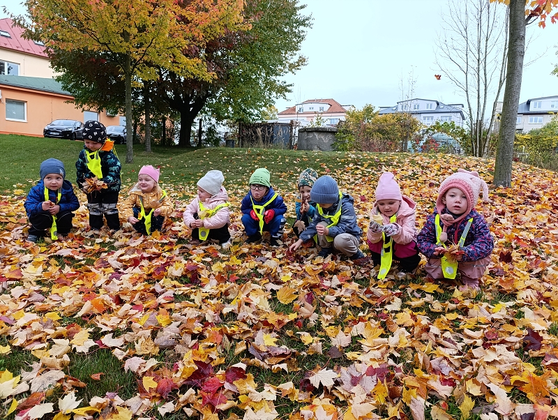 Zeleňásci - Skřítek podzimníček