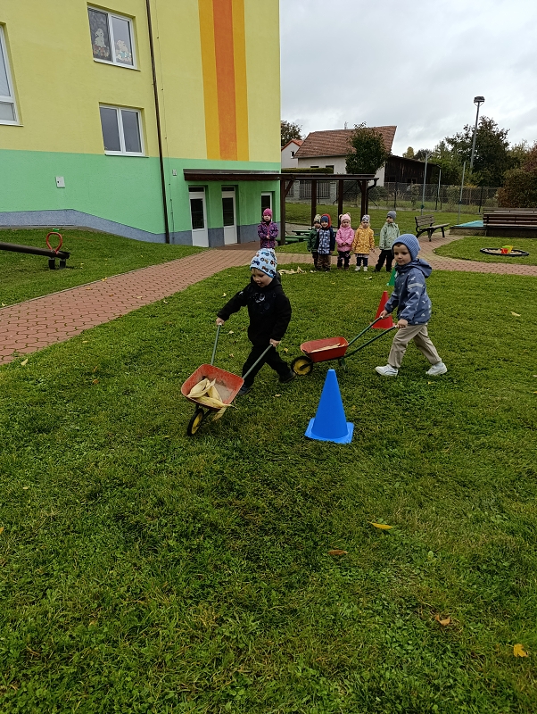 Zeleňásci -  Na poli