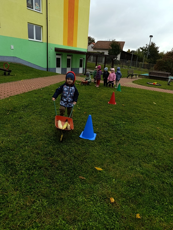 Zeleňásci -  Na poli