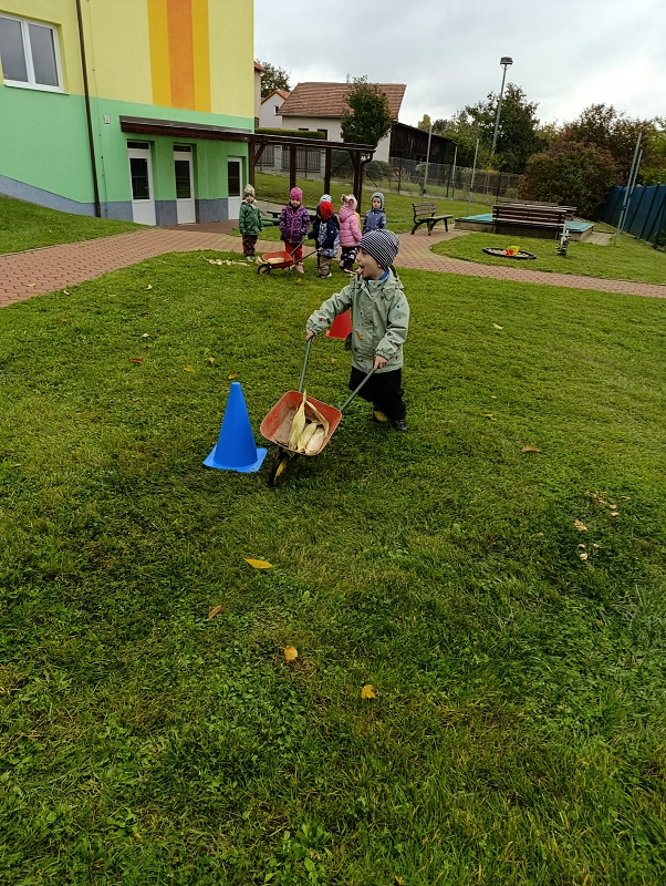 Zeleňásci -  Na poli