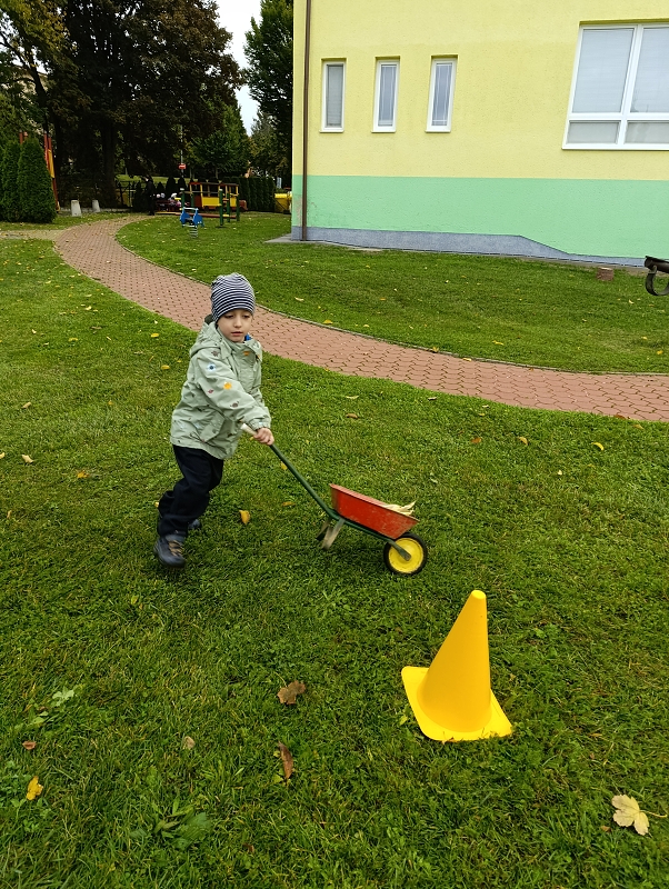 Zeleňásci -  Na poli