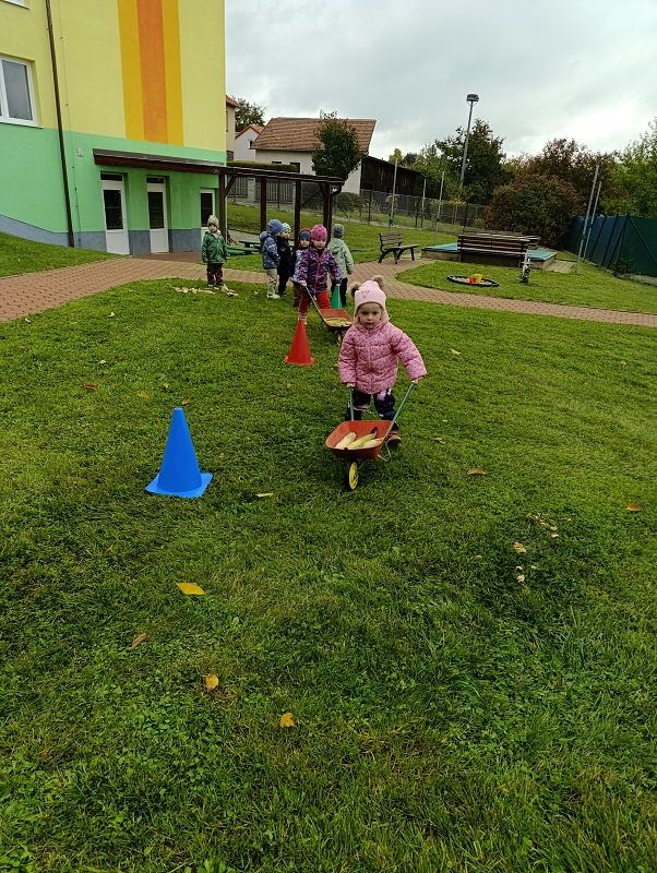 Zeleňásci -  Na poli