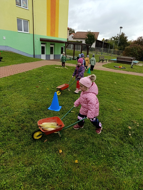 Zeleňásci -  Na poli