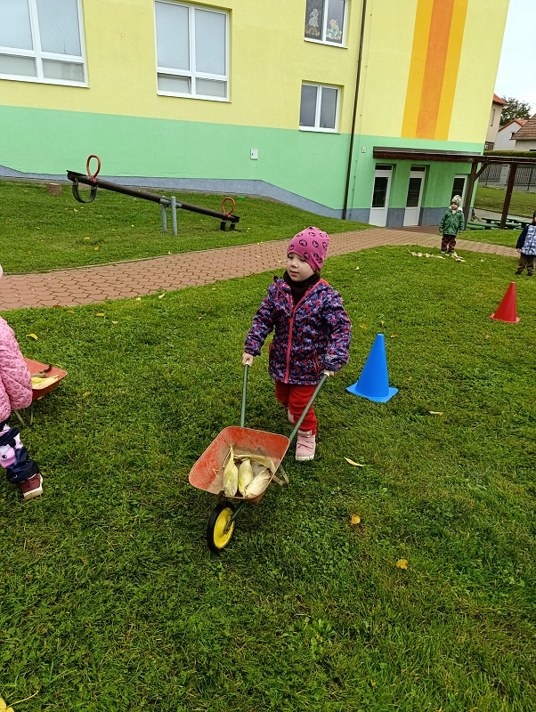 Zeleňásci -  Na poli