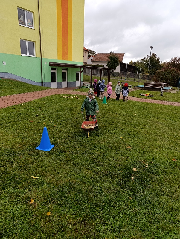 Zeleňásci -  Na poli