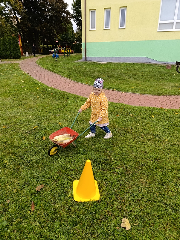 Zeleňásci -  Na poli