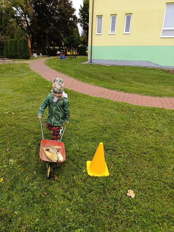 Zeleňásci -  Na poli