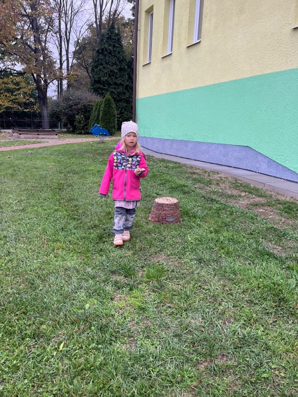 Žluťásci na poli - BRAMBORIÁDA