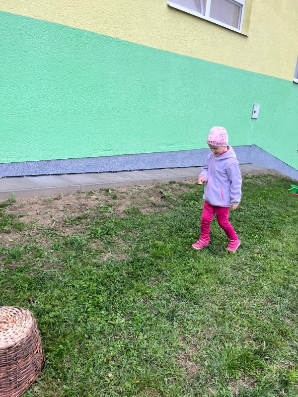 Žluťásci na poli - BRAMBORIÁDA