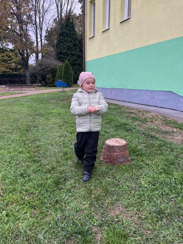 Žluťásci na poli - BRAMBORIÁDA