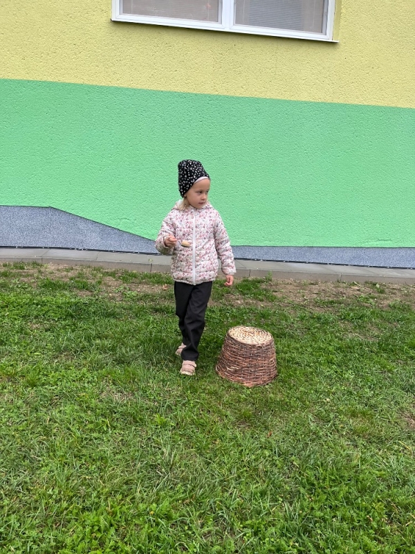 Žluťásci na poli - BRAMBORIÁDA