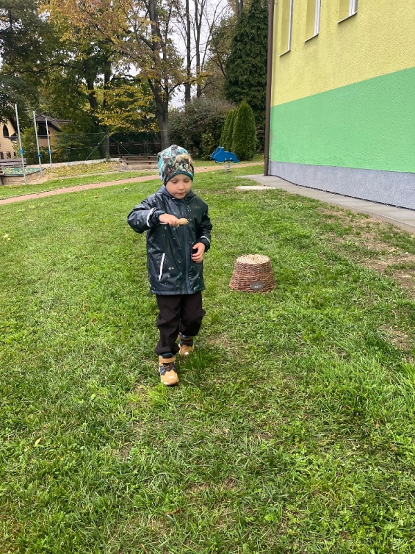 Žluťásci na poli - BRAMBORIÁDA