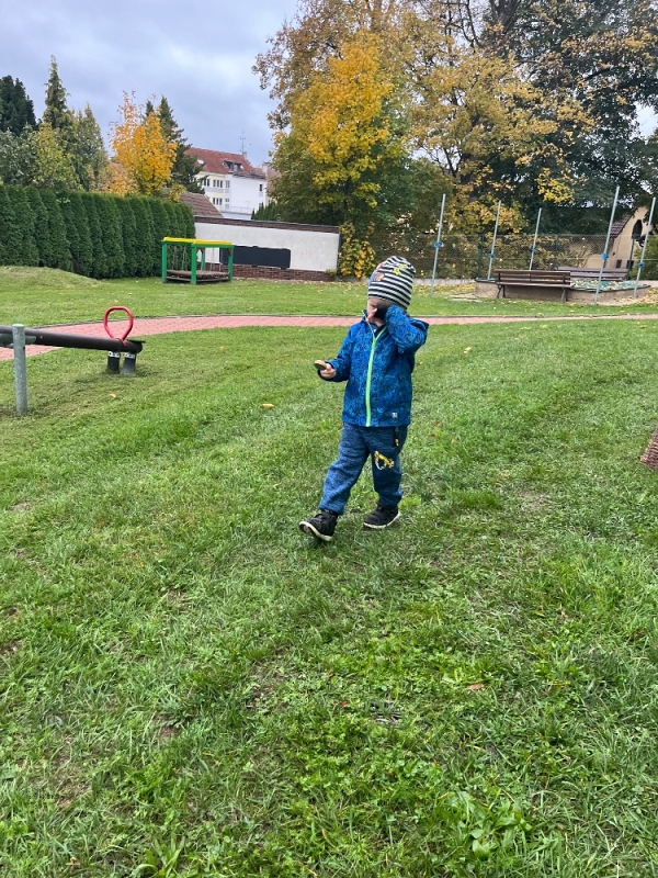 Žluťásci na poli - BRAMBORIÁDA