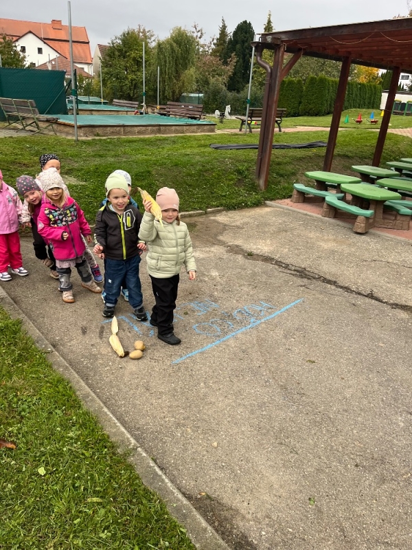 Žluťásci na poli - BRAMBORIÁDA