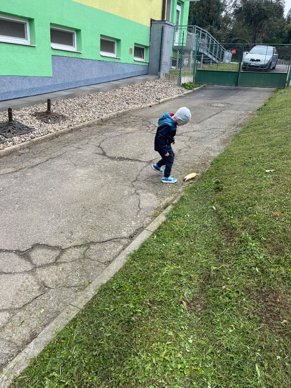 Žluťásci na poli - BRAMBORIÁDA