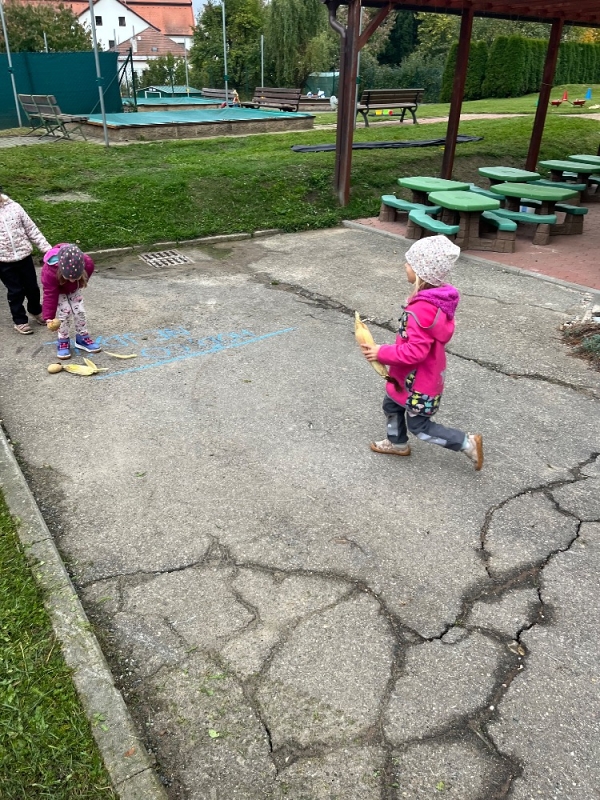 Žluťásci na poli - BRAMBORIÁDA