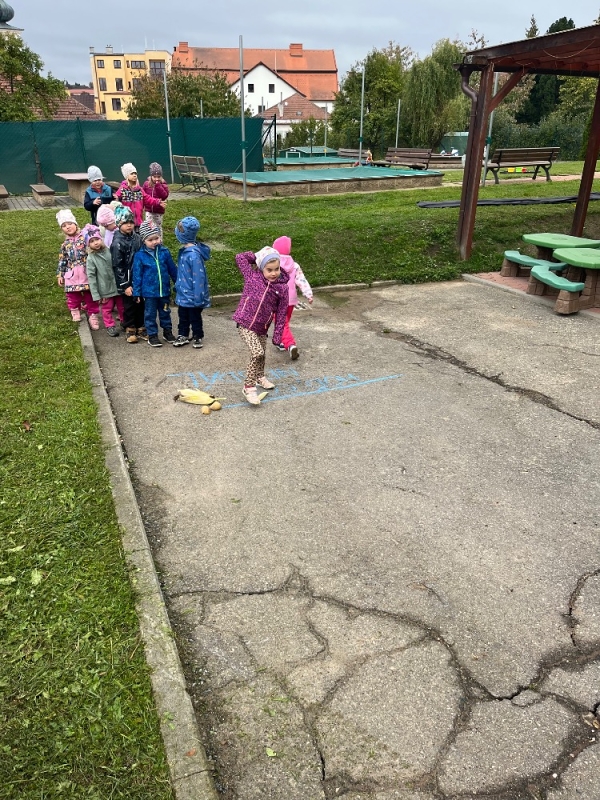 Žluťásci na poli - BRAMBORIÁDA