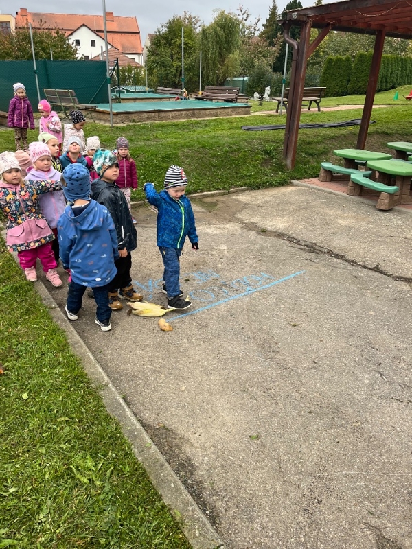 Žluťásci na poli - BRAMBORIÁDA