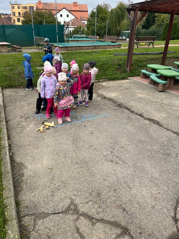 Žluťásci na poli - BRAMBORIÁDA