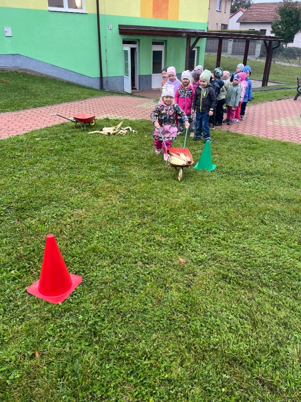 Žluťásci na poli - BRAMBORIÁDA