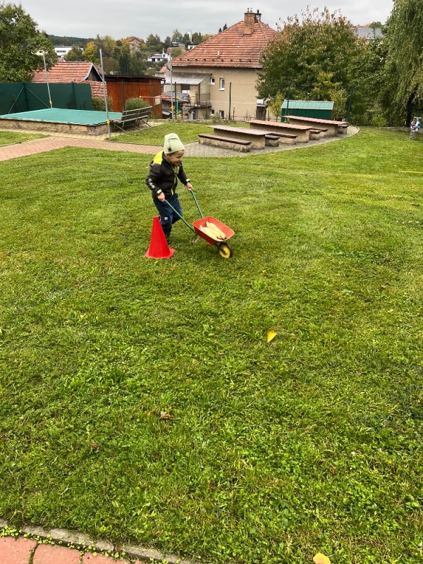 Žluťásci na poli - BRAMBORIÁDA