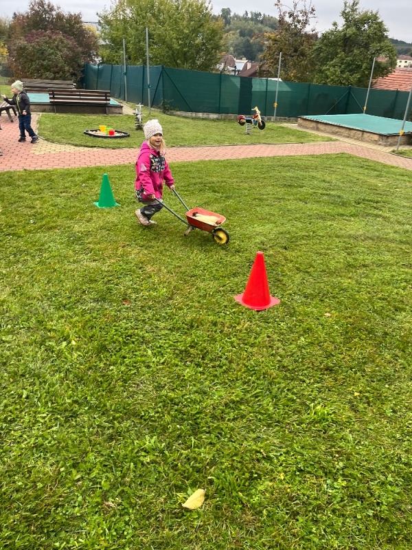 Žluťásci na poli - BRAMBORIÁDA