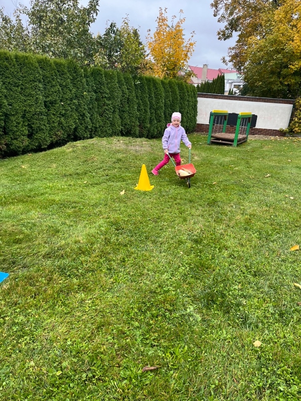 Žluťásci na poli - BRAMBORIÁDA