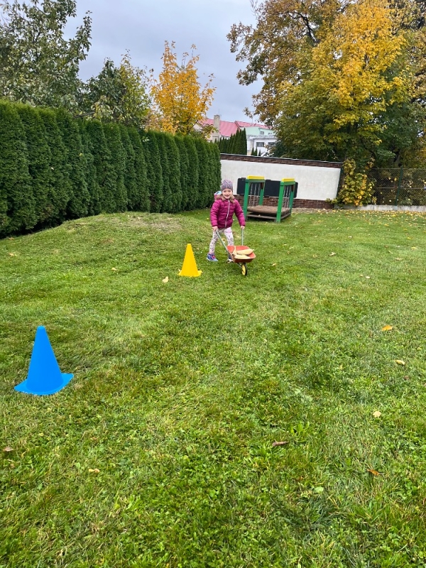 Žluťásci na poli - BRAMBORIÁDA