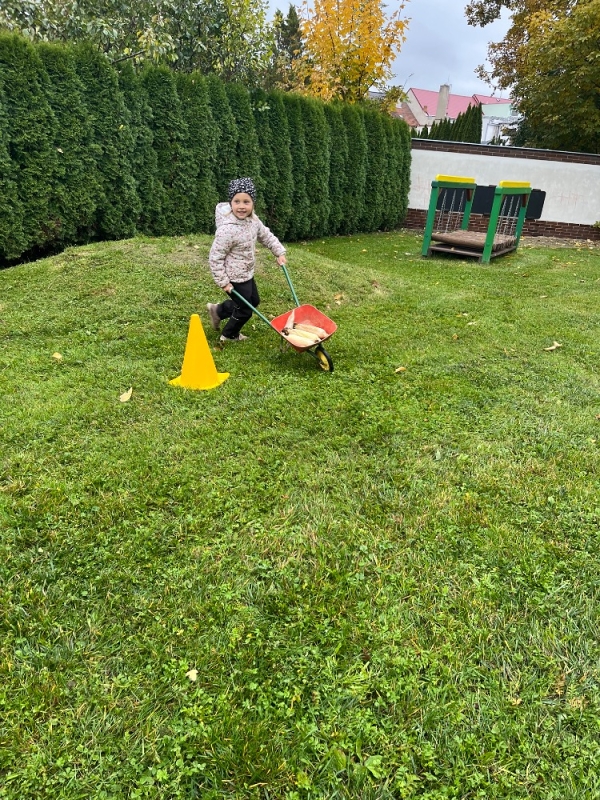 Žluťásci na poli - BRAMBORIÁDA