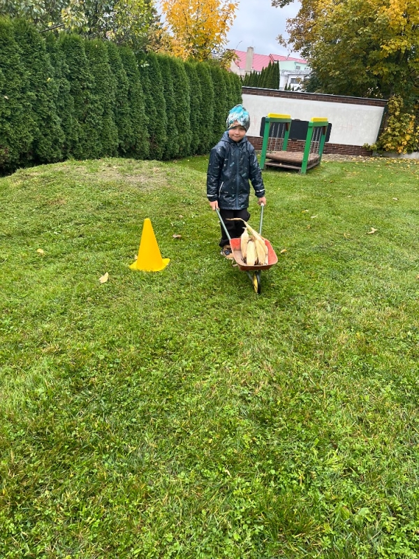 Žluťásci na poli - BRAMBORIÁDA