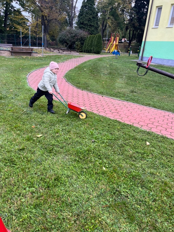 Žluťásci na poli - BRAMBORIÁDA