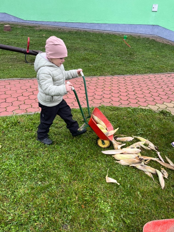 Žluťásci na poli - BRAMBORIÁDA