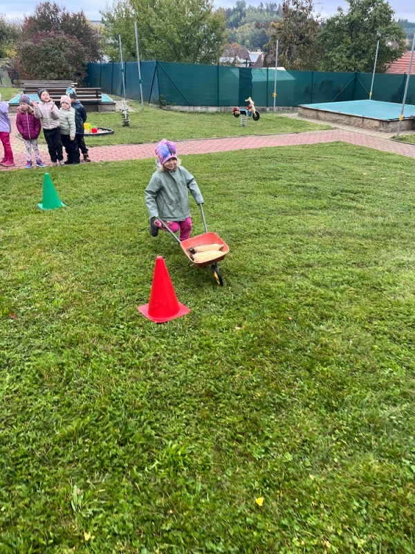 Žluťásci na poli - BRAMBORIÁDA
