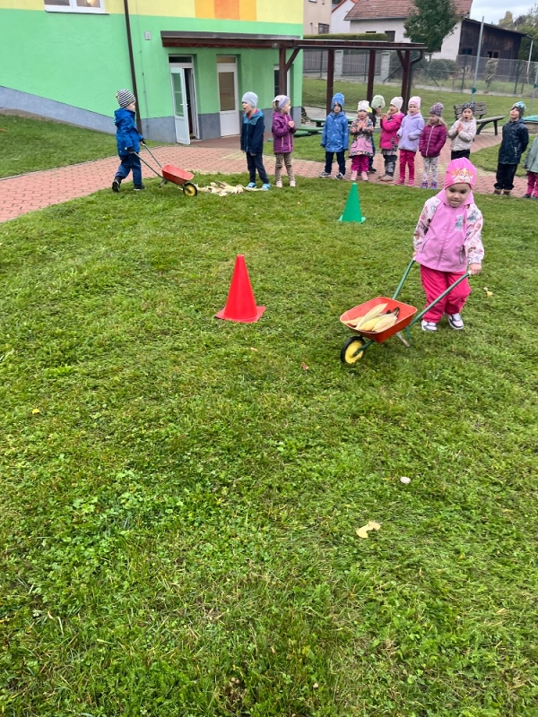 Žluťásci na poli - BRAMBORIÁDA