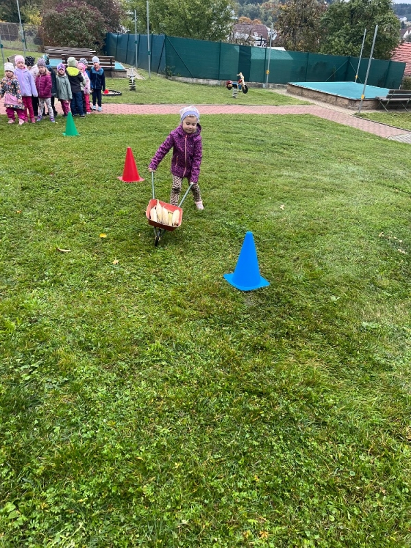 Žluťásci na poli - BRAMBORIÁDA