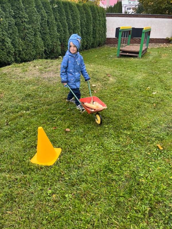 Žluťásci na poli - BRAMBORIÁDA