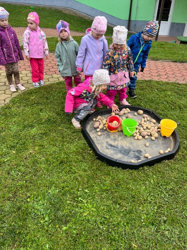 Žluťásci na poli - BRAMBORIÁDA