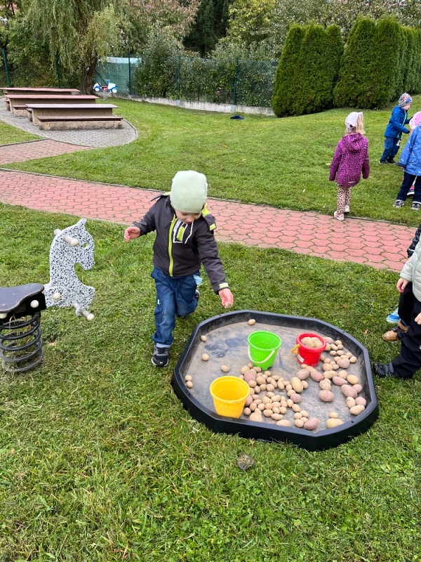 Žluťásci na poli - BRAMBORIÁDA