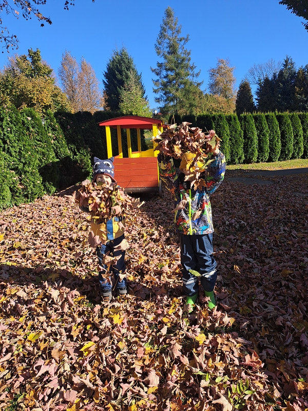 Vyletěl si pyšný drak - Modrásci