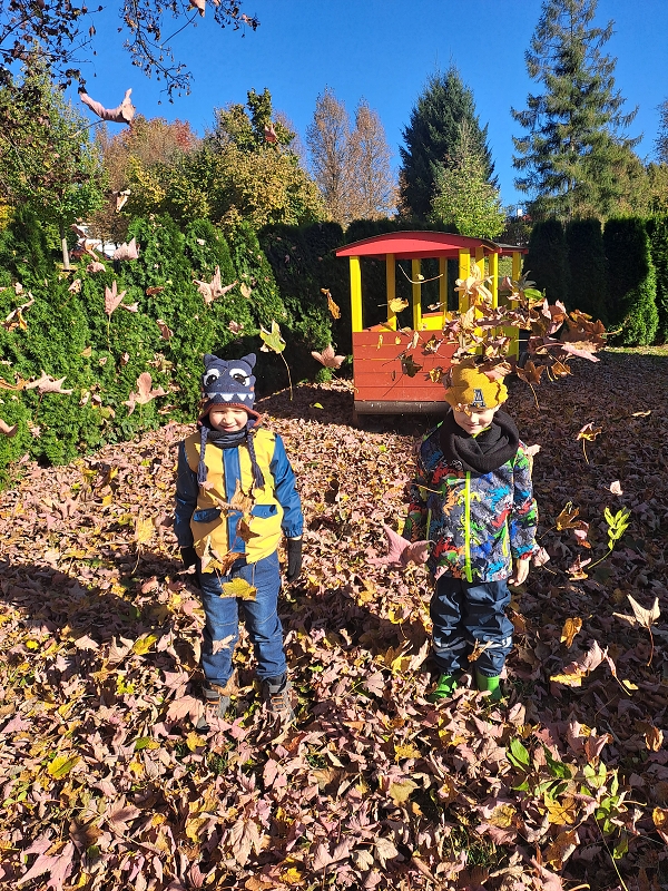 Vyletěl si pyšný drak - Modrásci