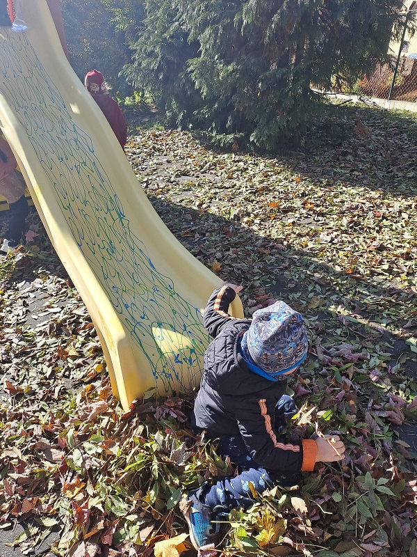 Vyletěl si pyšný drak - Modrásci