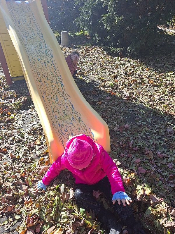 Vyletěl si pyšný drak - Modrásci