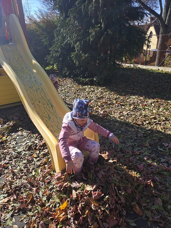 Vyletěl si pyšný drak - Modrásci