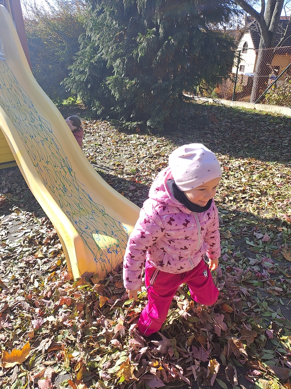 Vyletěl si pyšný drak - Modrásci