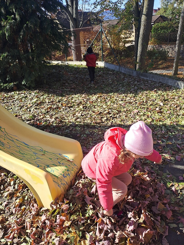 Vyletěl si pyšný drak - Modrásci